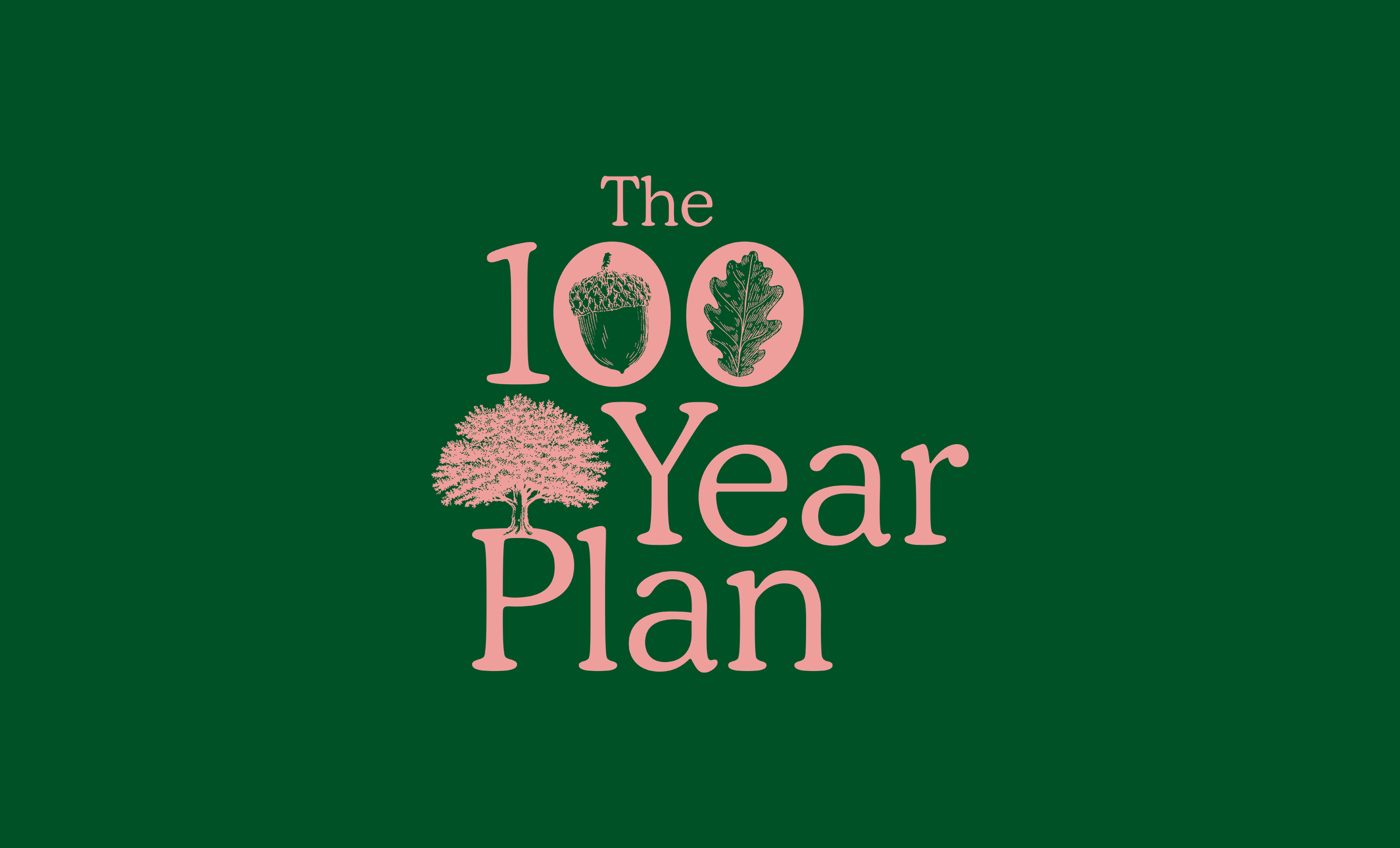 The 100 Year Plan logo